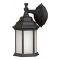 Forte One Light Black Frosted Seeded Panels Glass Wall Lantern 17004-01-04